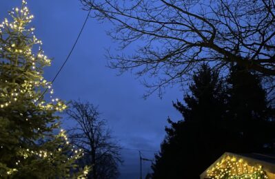 Weihnachtsmarkt am Abend