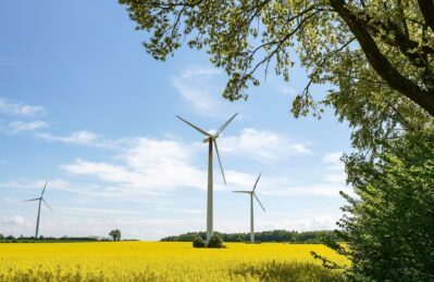 Windräder auf einem Rapsfeld
